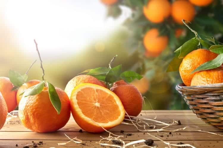 Vitamina C - benefícios, como consumir e onde encontrar