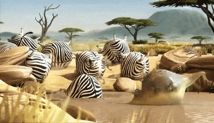 Listras das zebras - Características, pesquisas e função