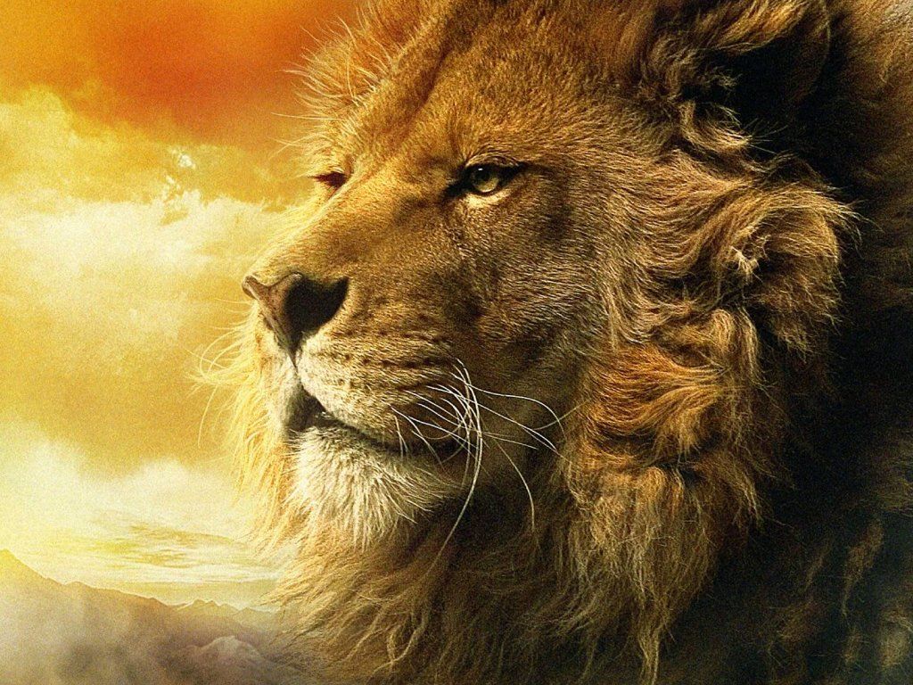 O Mínimo sobre ASLAN, Quem ele é? e qual o seu propósito em Narnia? 