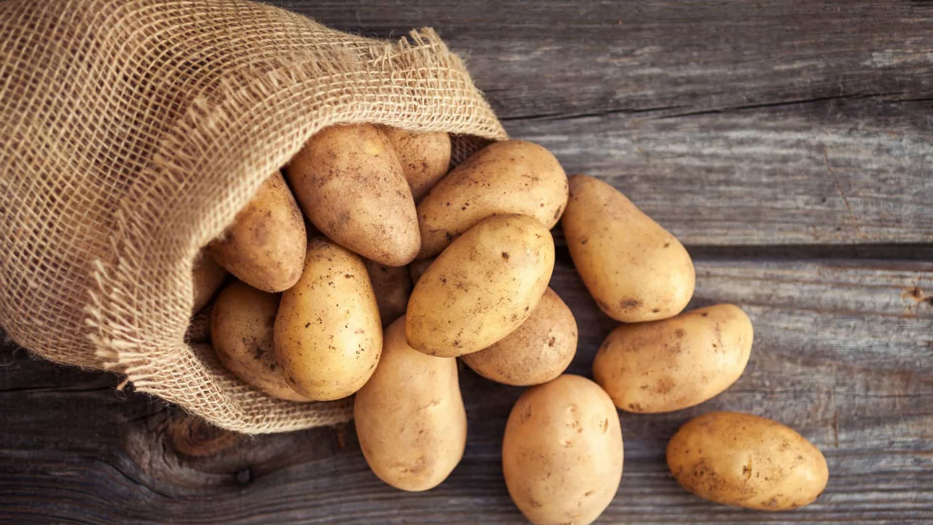 Batatas - Origem, tipos e utilidades que vão além da alimentação