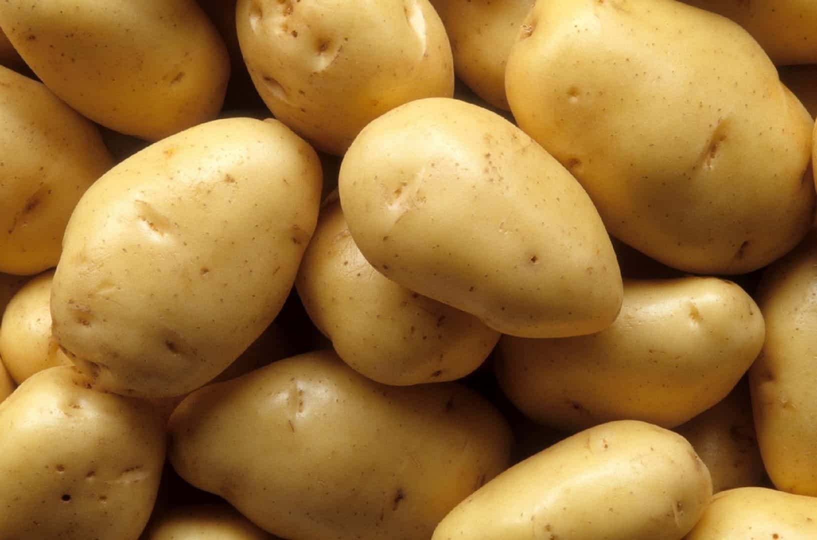 Batatas - Origem, tipos e utilidades que vão além da alimentação