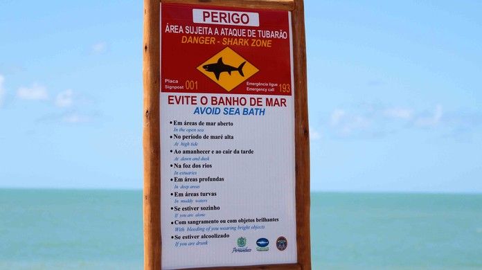 Ataque de tubarão - porque acontecem e praias mais perigosas do Brasil