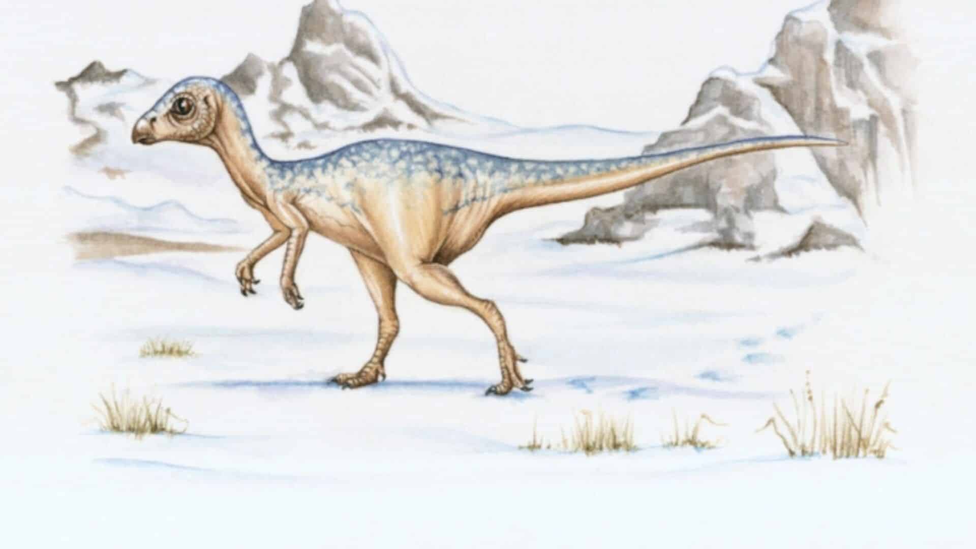 Nomes dos dinossauros - Como foi criado cada um deles?