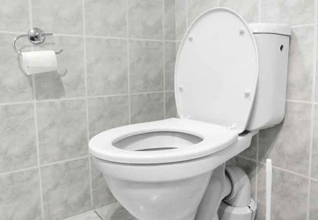 Vasos sanitários - como funcionam e curiosidades sobre as privadas