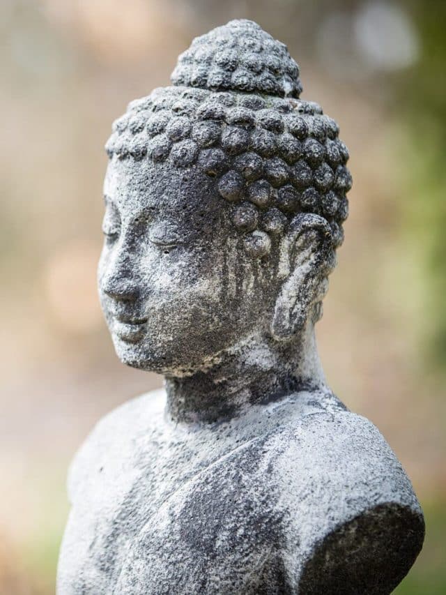 Aprenda conceitos e fatos para saber ainda mais sobre o budismo