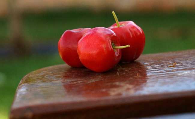 Frutas cítricas - principais benefícios e variações mais populares