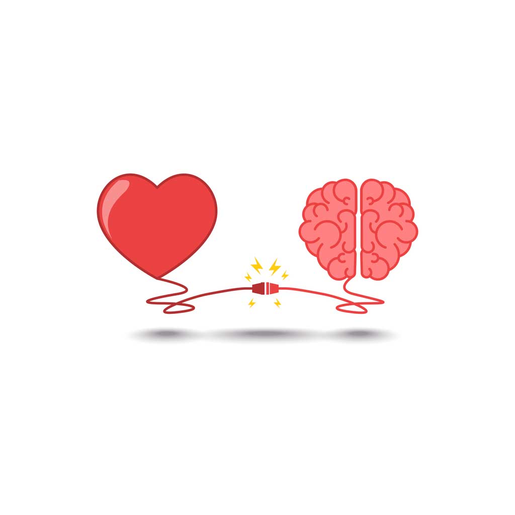 Hormônio do amor - Como funciona a ocitocina no corpo humano