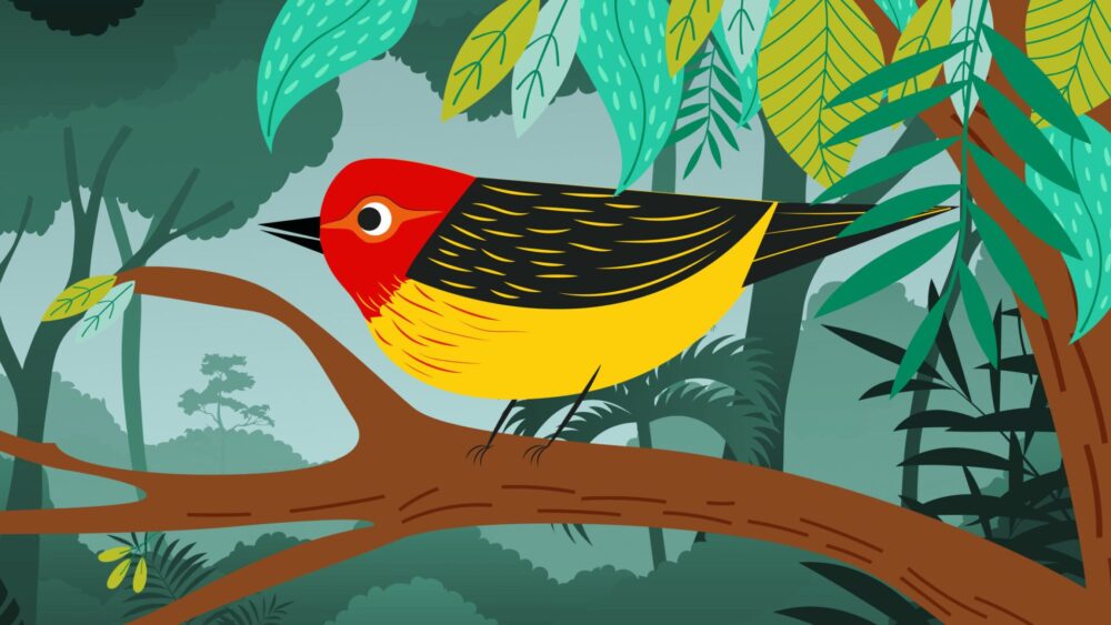 A Lenda do Uirapuru: conheça a história do pássaro famoso do folclore brasileiro