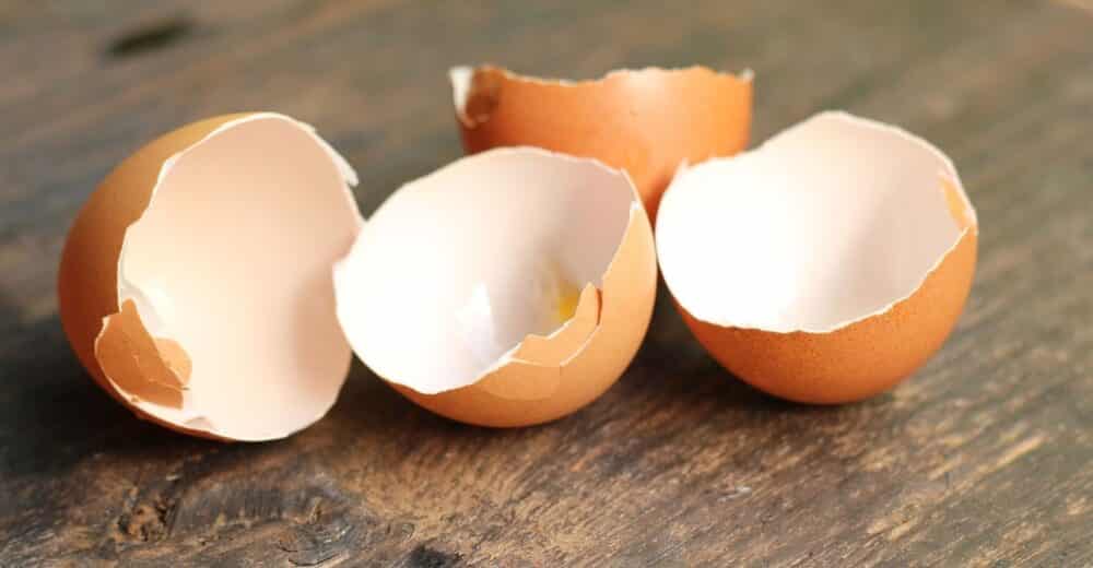 Benefícios e usos da casca de ovo: saiba como consumir e reutilizar