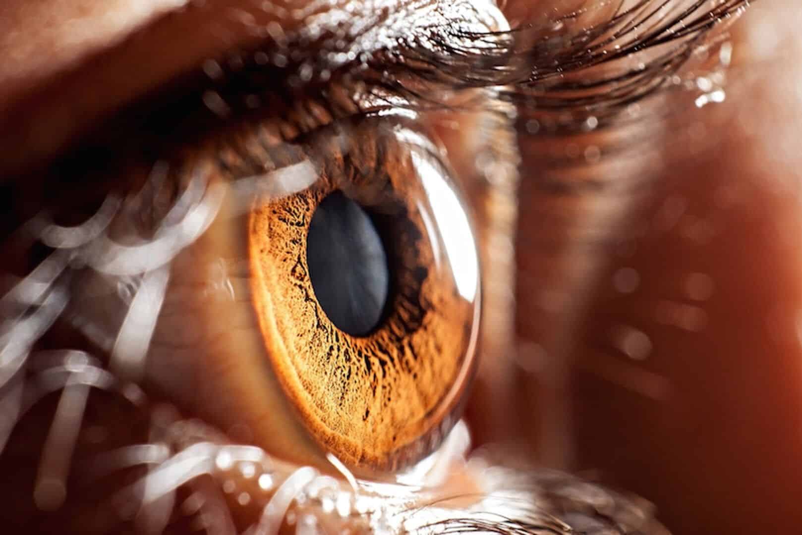 Curiosidades sobre o olho humano - detalhes do funcionamento da visão