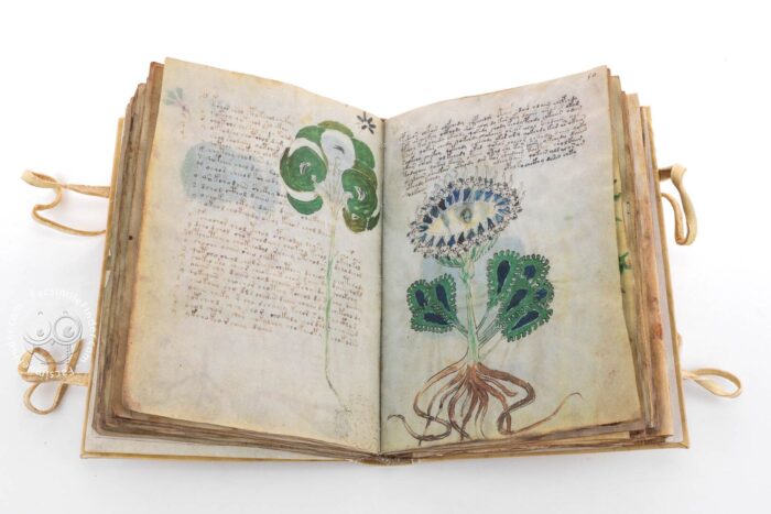 Manuscrito Voynich: conheça a história do livro mais misterioso do mundo