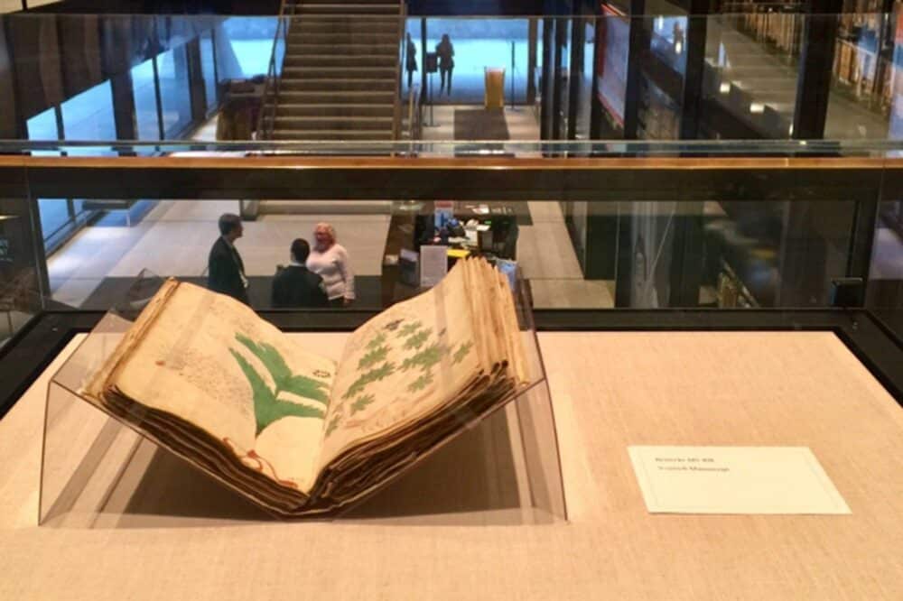 Manuscrito Voynich: conheça a história do livro mais misterioso do mundo