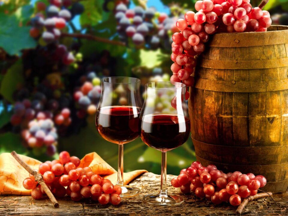 Tipos De Uvas Mais Populares Usadas Na Produ O De Vinhos