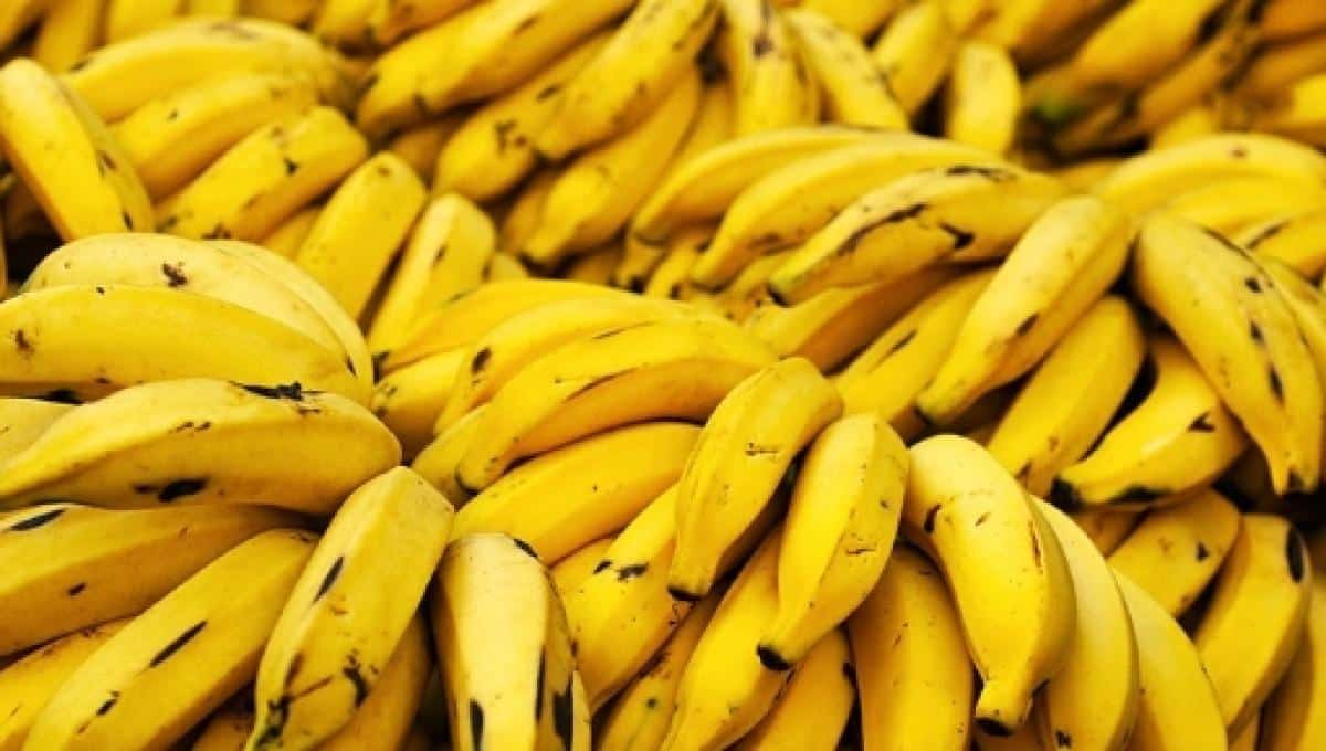 Benefícios da banana - efeitos positivos do consumo para o organismo