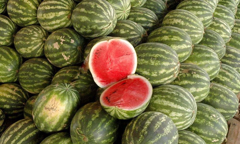 Benefícios da melancia - principais efeitos positivos da fruta na saúde