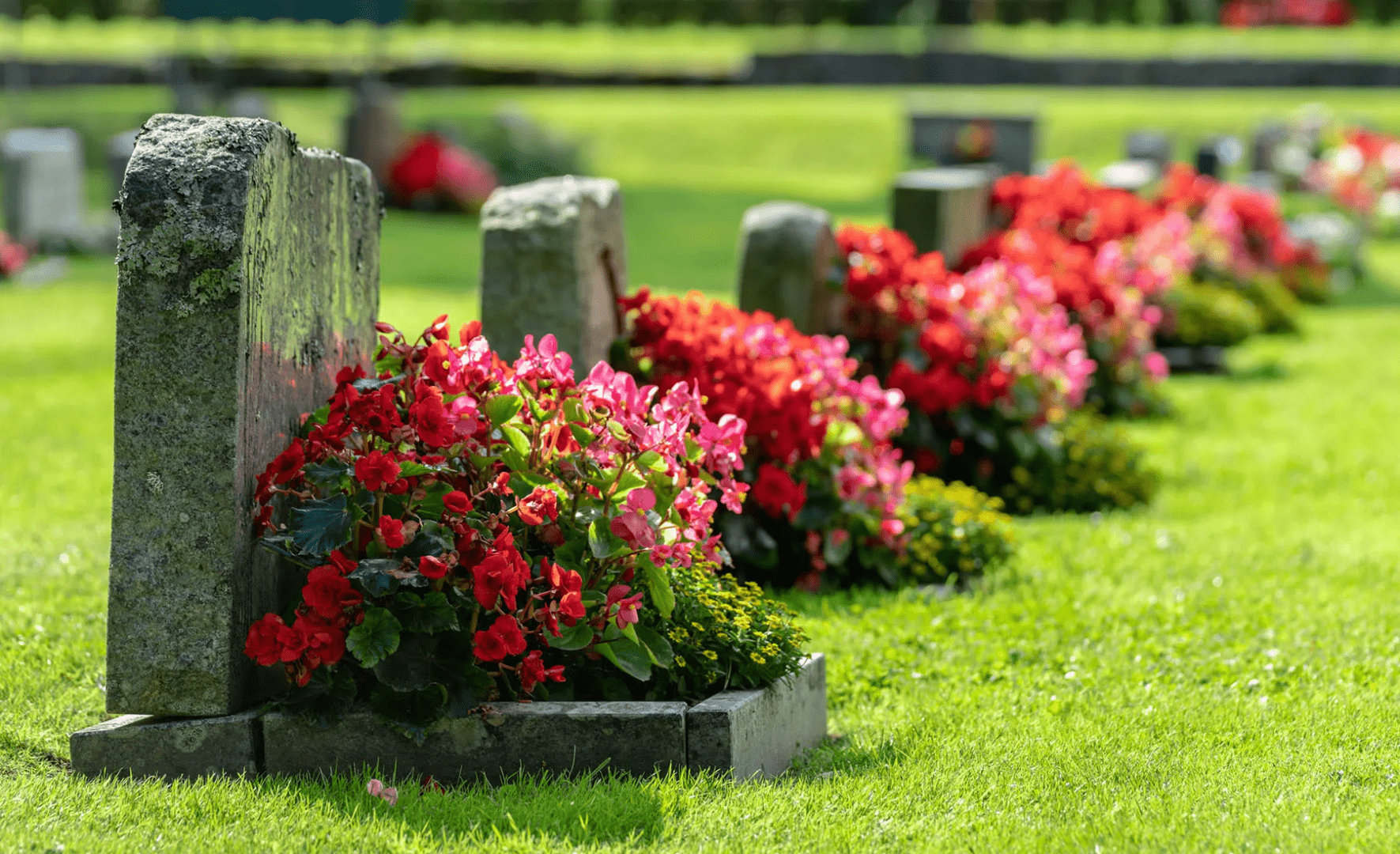 Frases para lápides - mensagens para escrever em túmulos após a morte