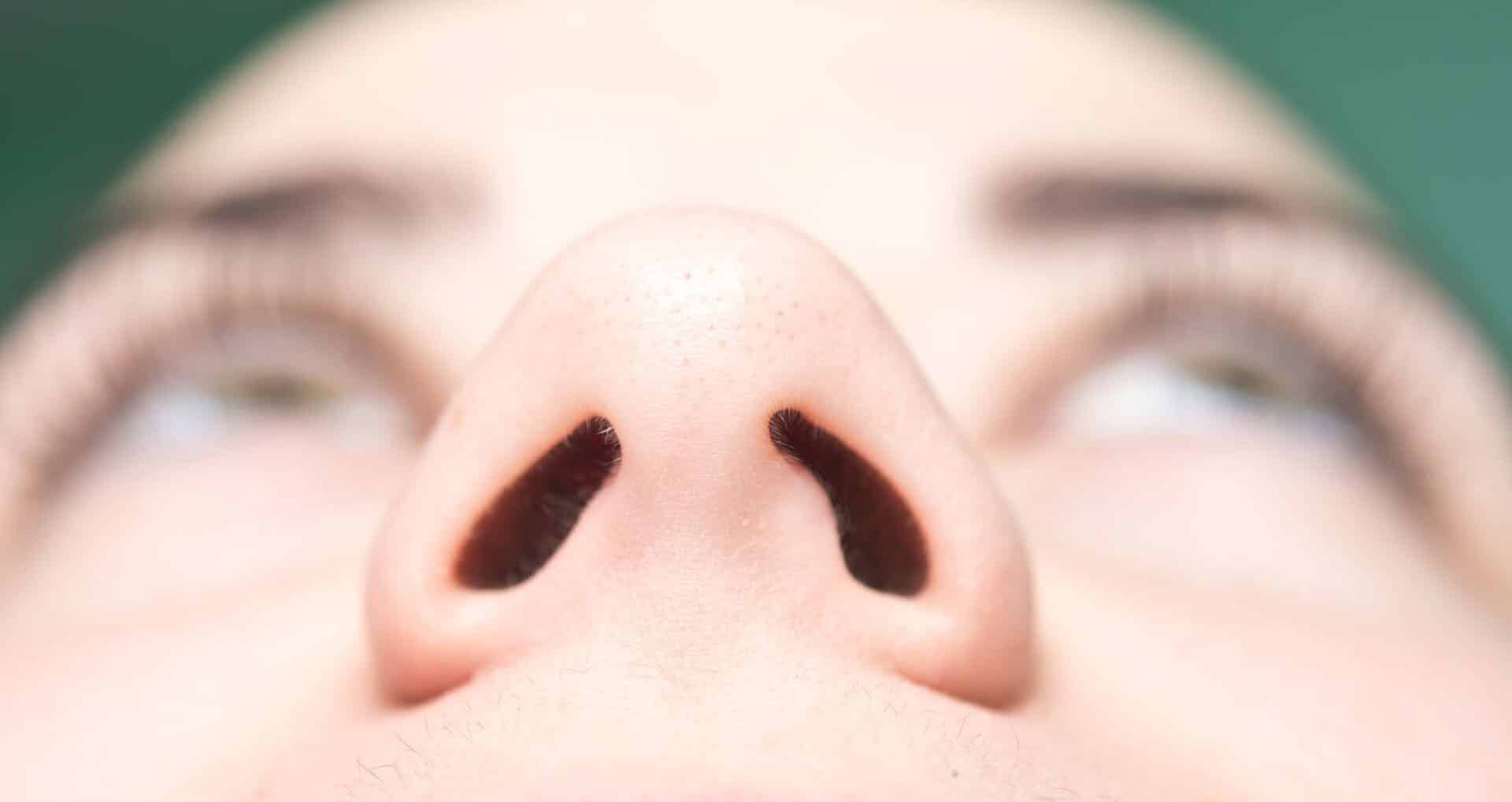 Narinas - para que servem e como influenciam o funcionamento do nariz
