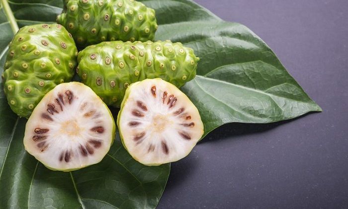 Noni – benefícios e efeitos colaterais da fruta proibida no Brasil
