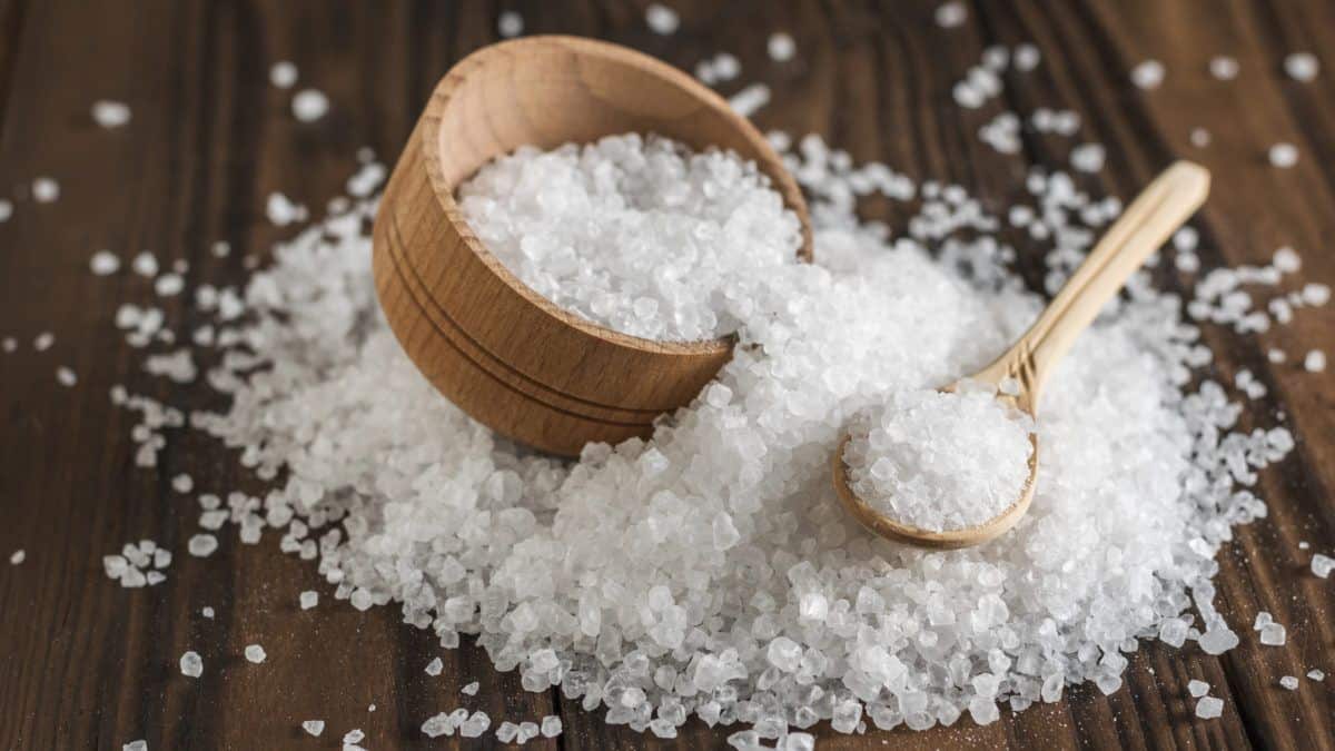 Sal grosso purifica o ambiente e ajuda a eliminar energias negativas -  Revista Marie Claire