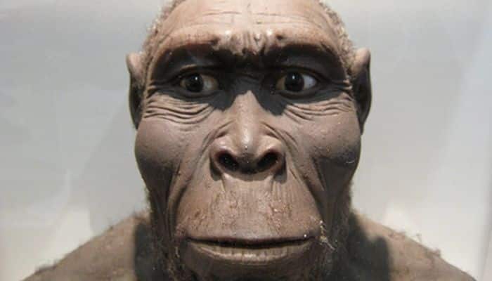 Ancestrais dos seres humanos: a evolução da espécie