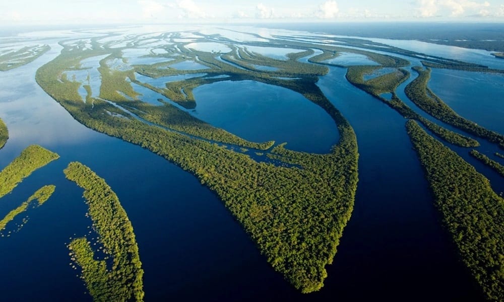 Estado do Amazonas - curiosidades sobre o maior estado brasileiro