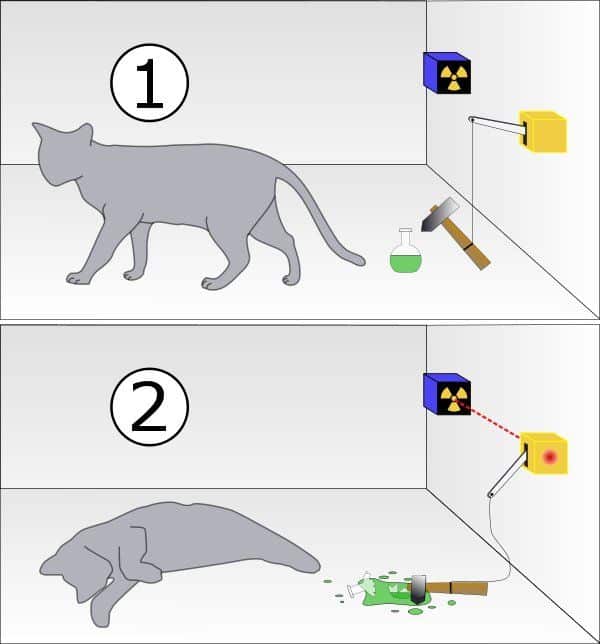 O que é o Gato de Schrödinger?