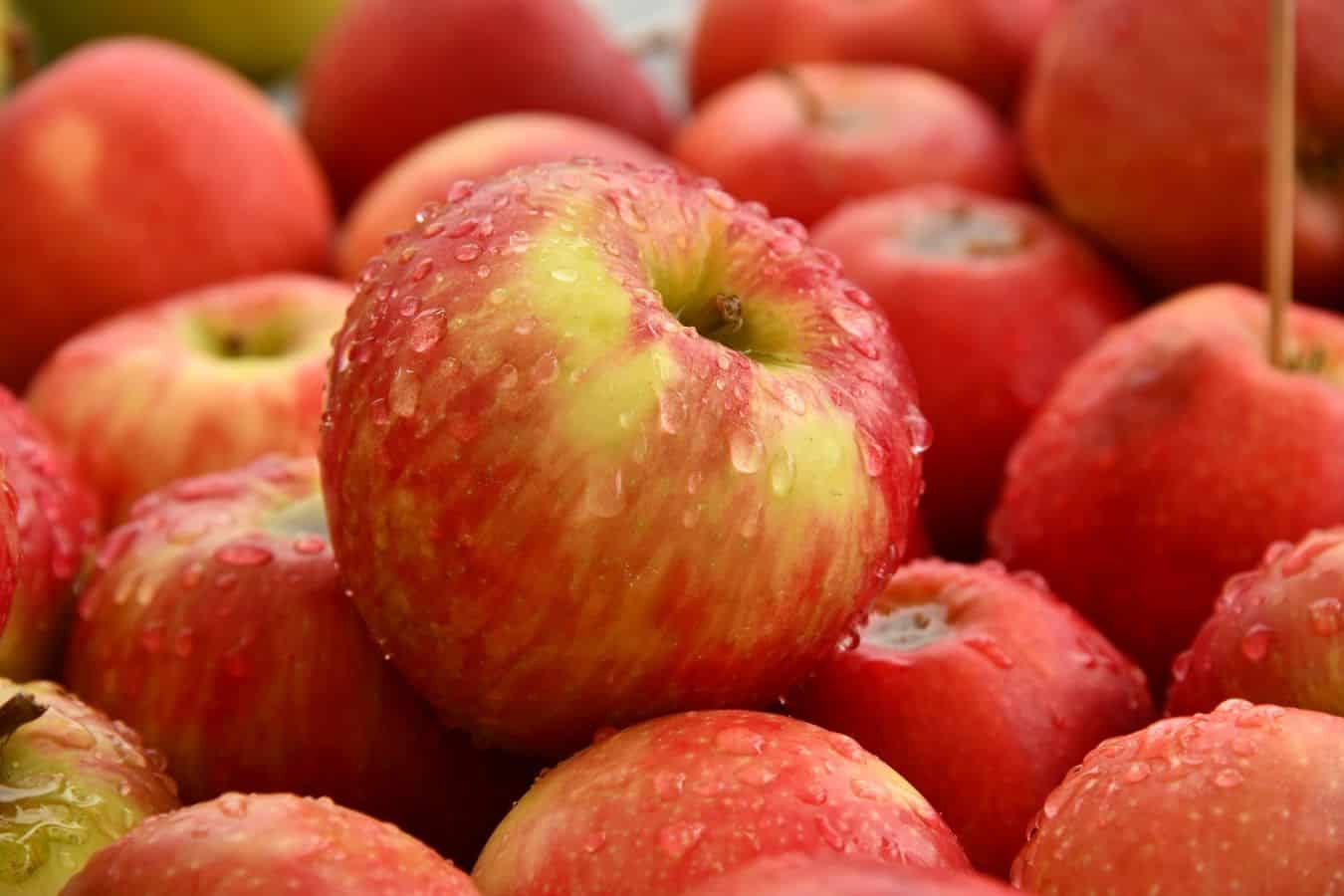 Benefícios da maçã - principais efeitos positivos do consumo da fruta