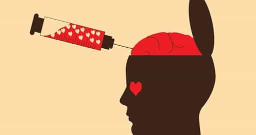Cérebro apaixonado - principais efeitos e reações da paixão e do amor