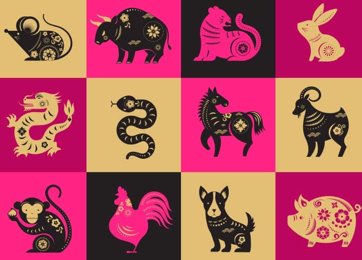 Zodíaco chinês - história, características e signos da astrologia chinesa