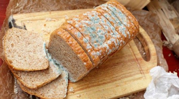 Pão mofado: o que é, como lidar e por que não comer