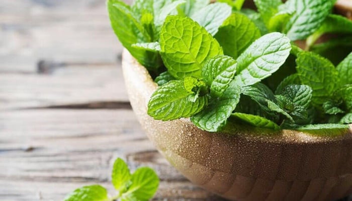 Benefícios da hortelã, propriedades nutricionais e como fazer o chá