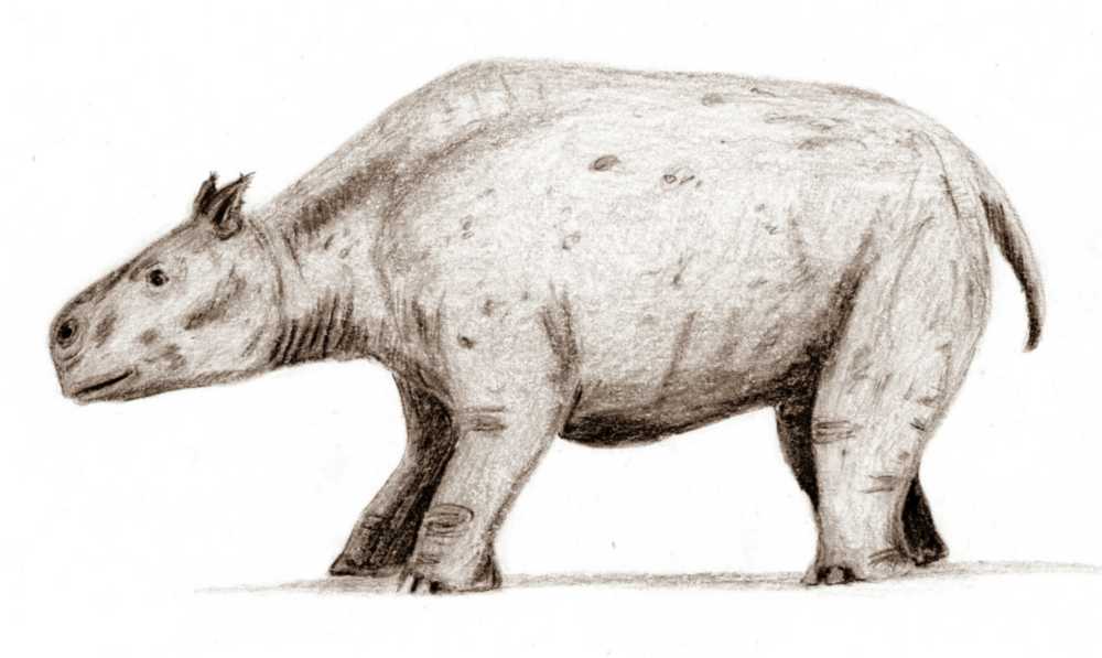 Ilustração de animais extintos e pré-históricos para ilustração do item