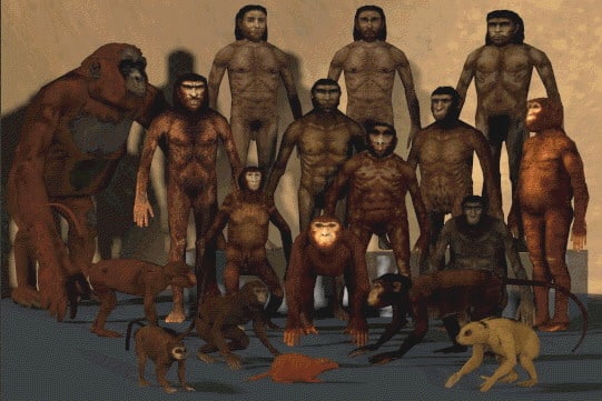 Os primeiros seres humanos que habitaram a Terra: quem eram eles