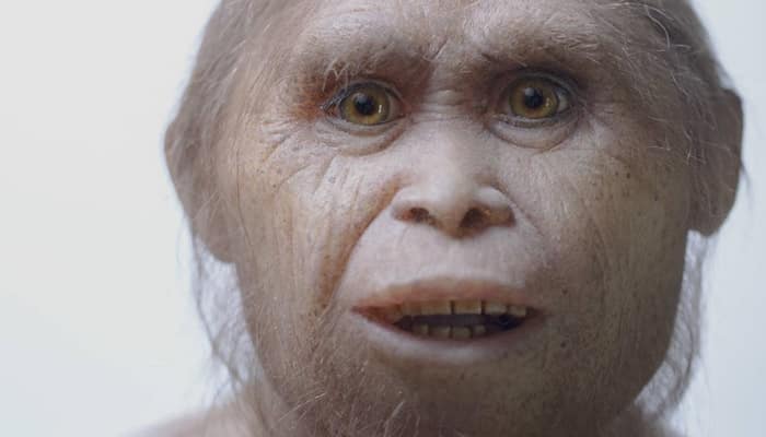Os primeiros seres humanos que habitaram a Terra: quem eram eles