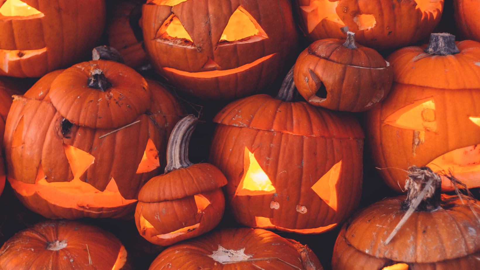 Abóboras: por que elas são o símbolo do Halloween?