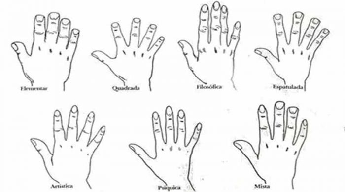 Formato da mão: significado e o que ele revela sobre sua personalidade