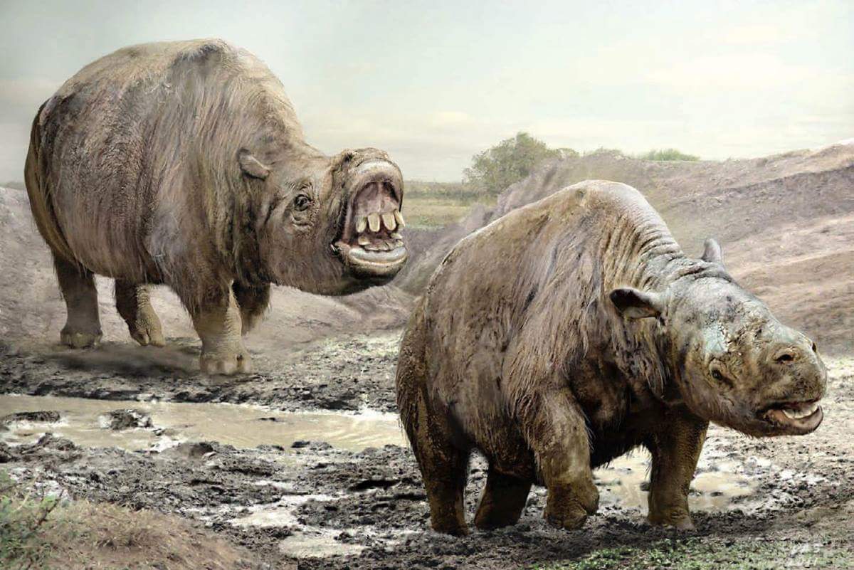 Megafauna: os animais pré-históricos gigantes que foram extintos