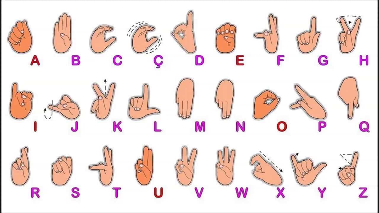 Tipos de alfabeto, quais são? Origem e características