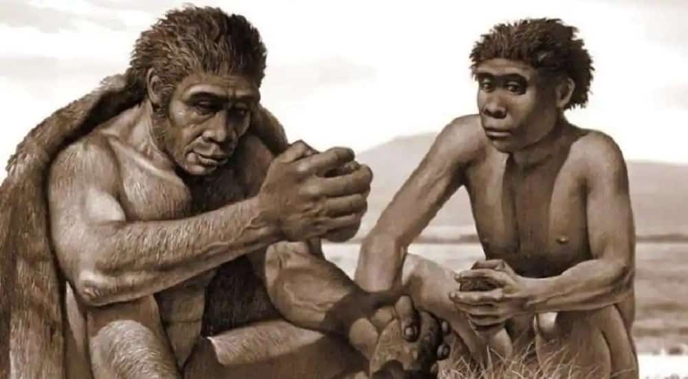 Homo bodoensis: nova espécie ancestral do homem é descoberta