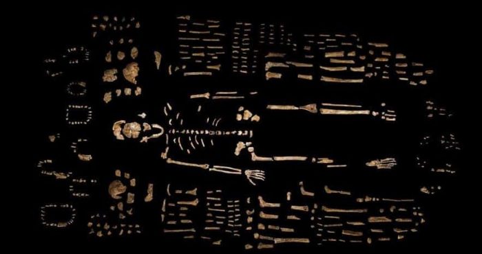 Homo Naledi: como o hominídeo pré-histórico se encaixa na evolução?