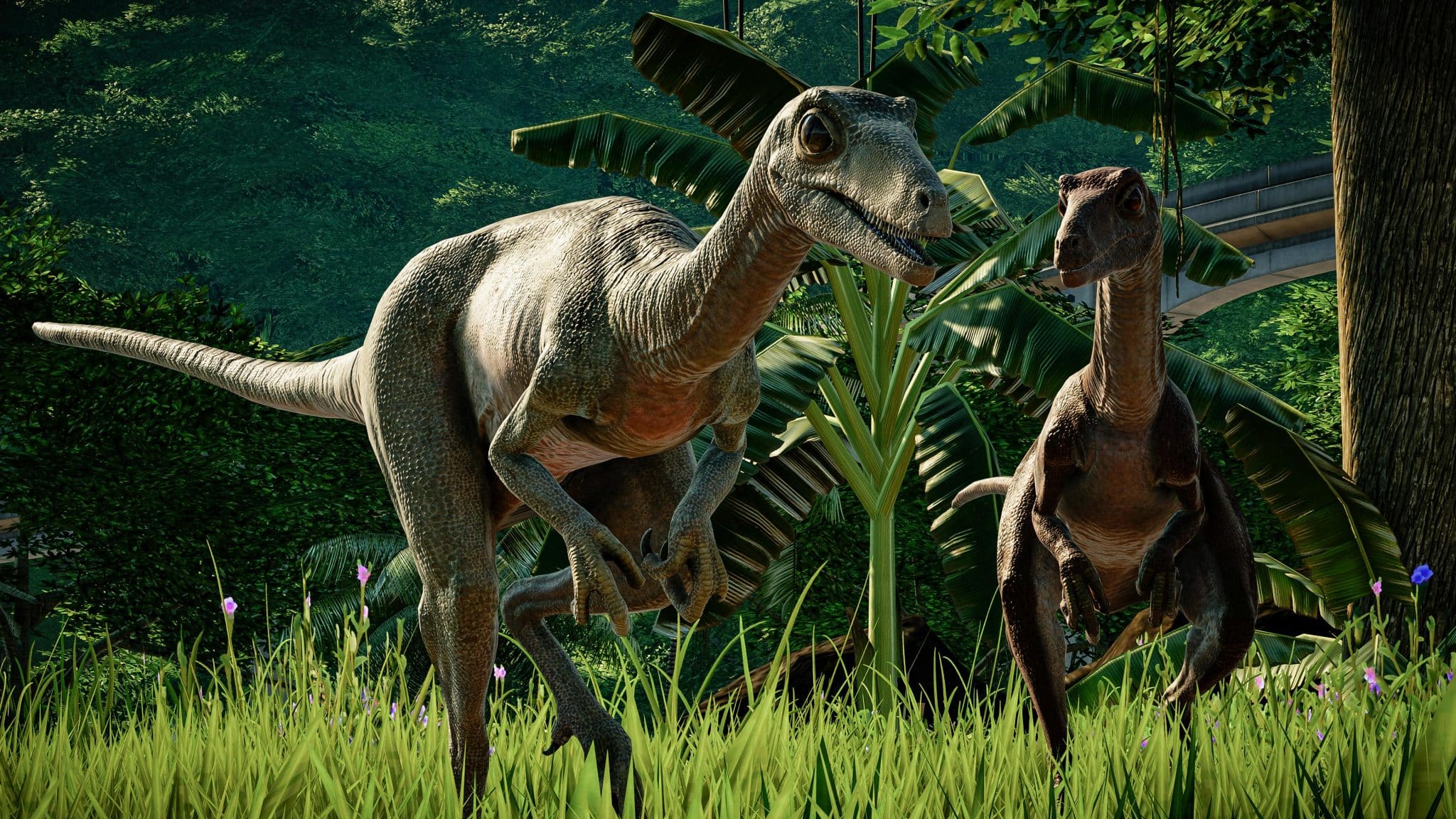 Troodonte: o dinossauro mais inteligente que já existiu