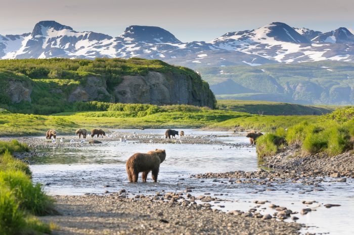 50 curiosidades interessantes que você não sabia sobre o Alasca