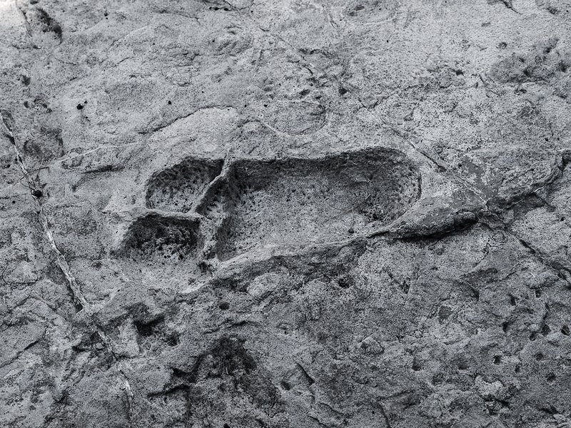 Antropólogos acreditam que ancestral desconhecido deixou pegadas