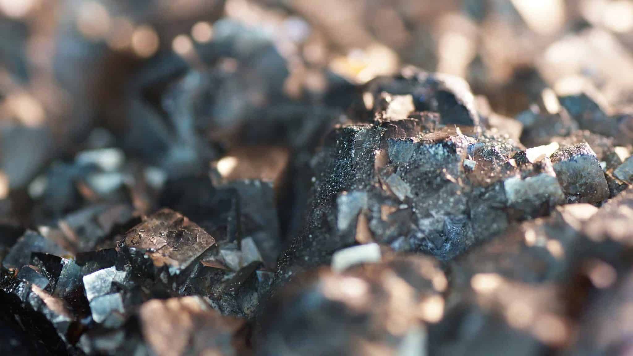 Cientistas descobrem minúsculas lascas de prata no cocô de minhocas