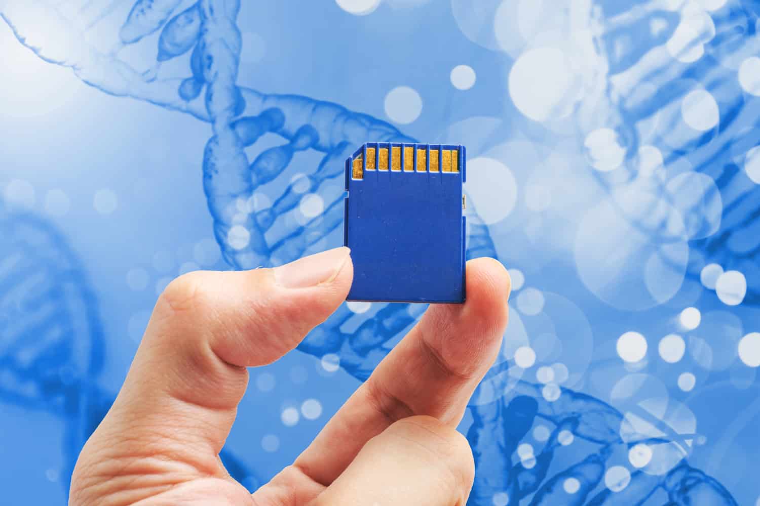 DNA para armazenar dados devem substituir discos rígidos magnéticos