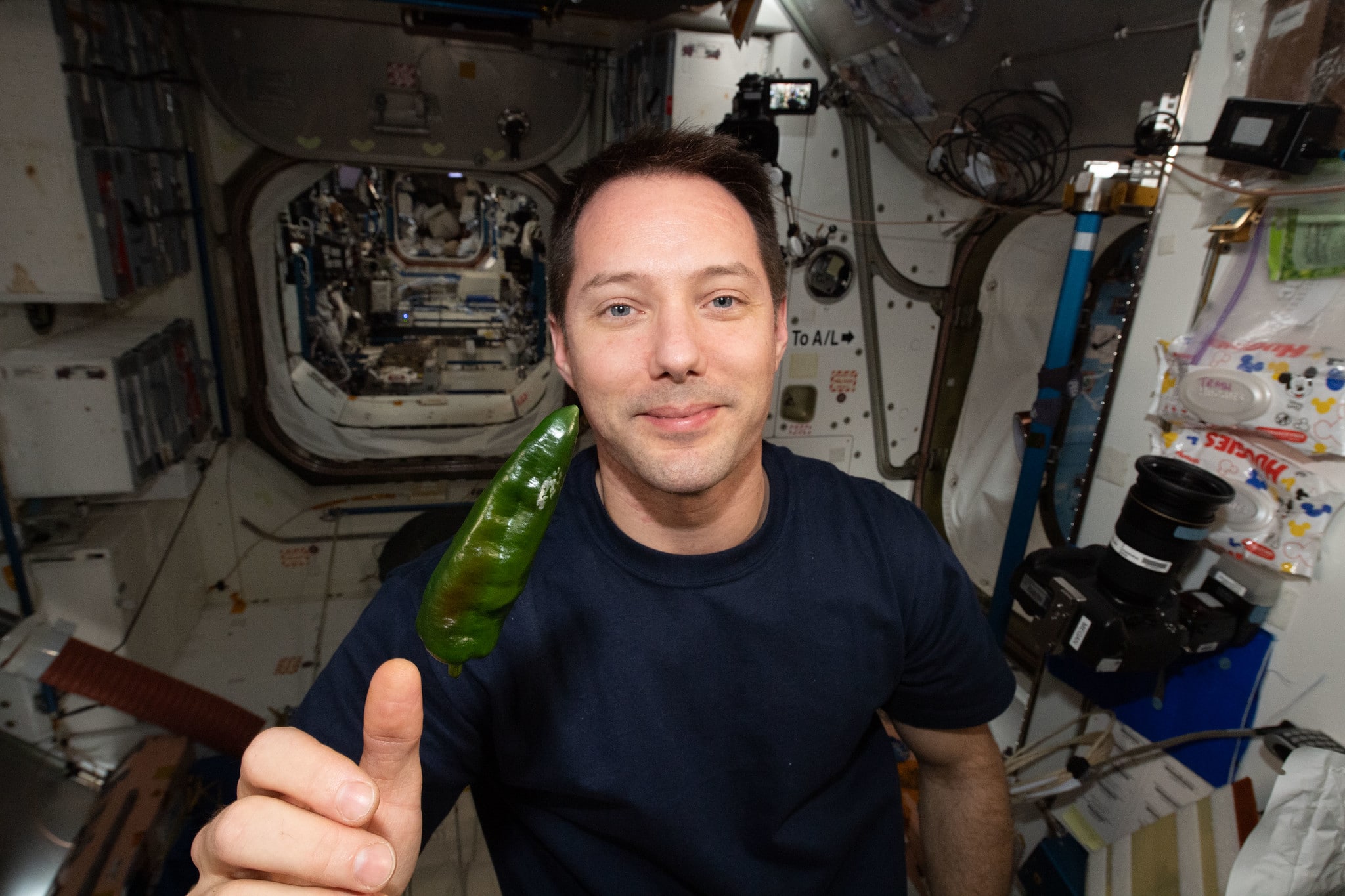 Experimento da NASA com pimentas é sucesso e quebra dois recordes