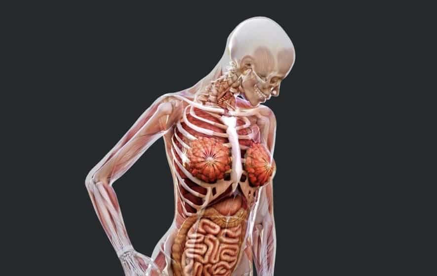 Maior órgão do corpo humano: tudo sobre a pele e suas funções