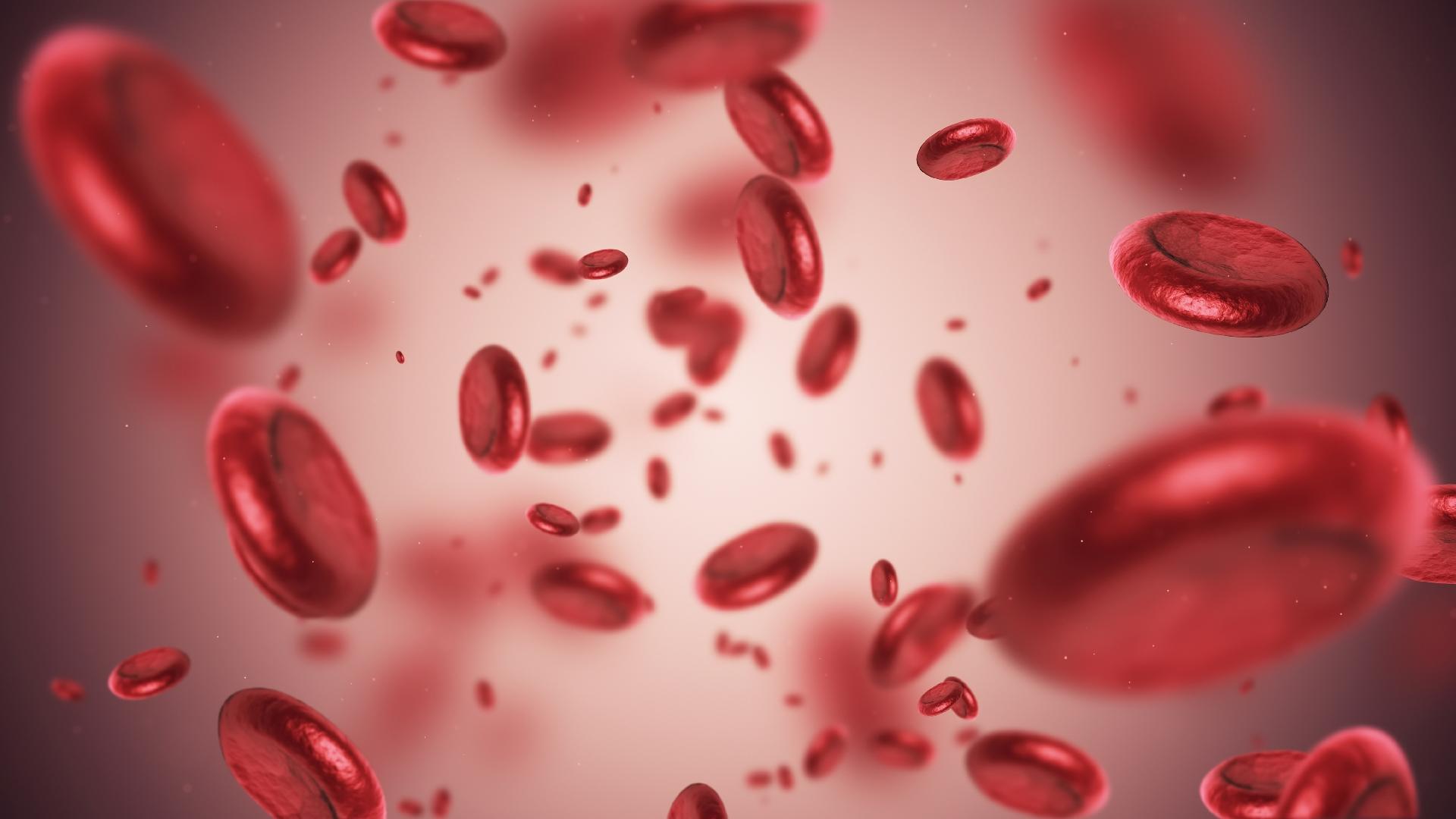 Quais são os sinais de anemia e o que provoca a doença?