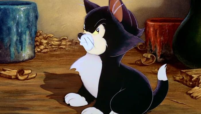 Nomes da Disney para gatos - os felinos mais famosos!