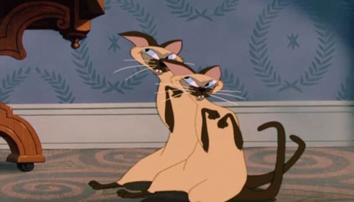 Nomes da Disney para gatos - os felinos mais famosos!